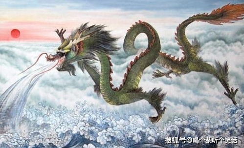 属龙76年女性财运摆放位置在哪里最旺？