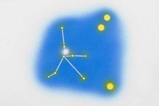 2026年哪些星座的婚运会比较不佳？