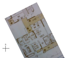 四、 综合评判标准与方法论反思