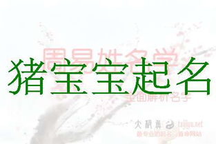 姓韩如何给孩子起名字大全（友情提示：慎重！）
