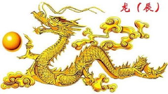 2026年属龙的本命年找工作，事业运势如何，有哪些吉祥方向？