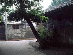 2. 居住周边环境的风水布局优化