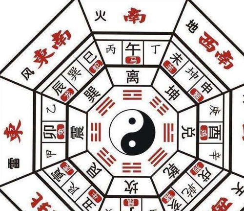 我的八字日支和时支合是什么？