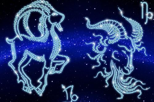 1971年属猪摩羯座和71年双鱼座属猪2026年运势分别是什么？