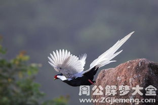 二、周公解梦：经典解读与现代启示