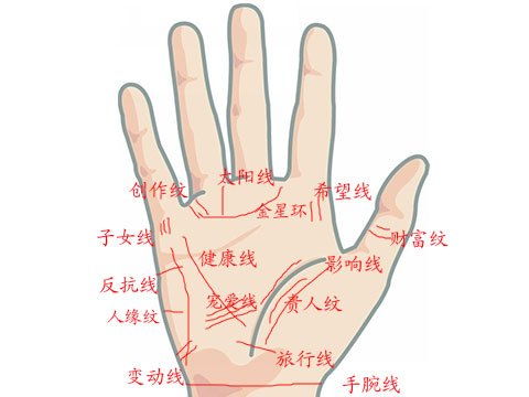 太阳丘：才华与人气的聚集地