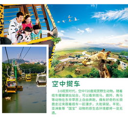 哎呀，这广东情侣短途游，真是让人头大！