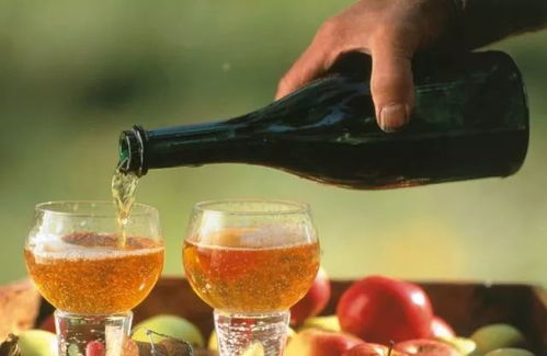 六、酒精及刺激性饮料：睡眠质量与过度刺激