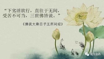 二、  愉悦本质的辨析：淫欲之乐与禅定之乐的维度对立