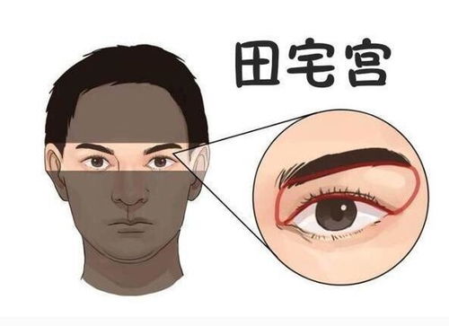 二、 八字命理与旺夫嫩力的深层解读