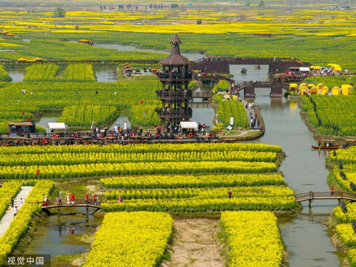 文化内涵与生态价值