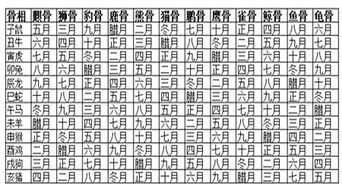 2023年戊申女命运势具体如何分析？