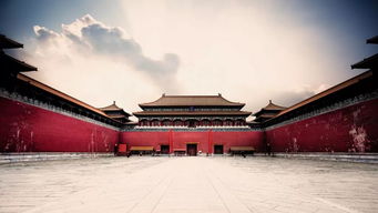 亲子互动：故宫里的活体历史课（真的活体吗？）