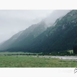 游客的困惑与真实案例