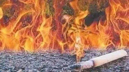 焚寂之歌：森林较深处鬼影与防火警示