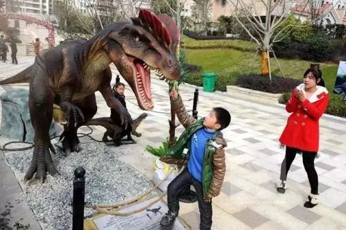 研究背景与问题提出