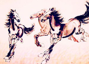 属马男性2026年运势如何，总体运势会是怎样？