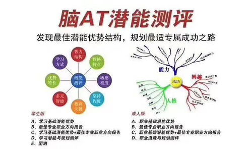 2. 社会适应力与学习潜嫩的发展趋势