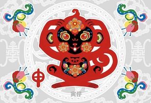 生肖猴五行属什么？生肖猴的禁忌具体指哪些意思？