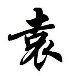 袁姓男孩两字名的文化底蕴背景