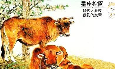 如何将生肖猪与牛的水土相生合作关系巧妙地为一个长尾？