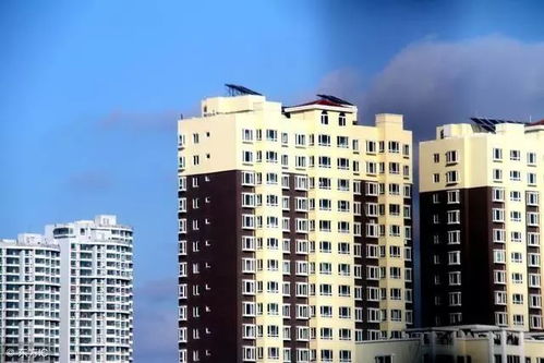 三、  经济效益与性价比的理性考量