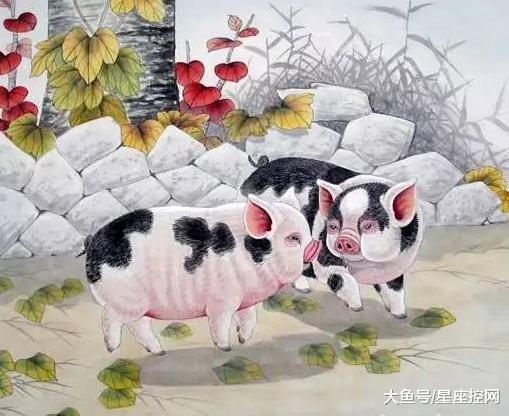 2019年属金猪还是土猪？1983年属金猪是什么生肖含义？