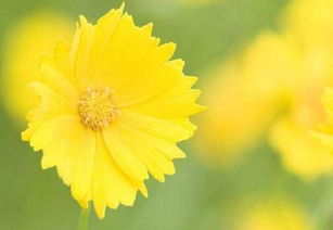 梦见已故亲人复活并交谈，这预示着什么吉凶？