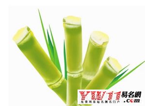 那个谁！离异女士梦到甘蔗到底咋回事？