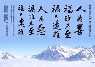 2.4 案例四：不可逆转之病痛与有限干预