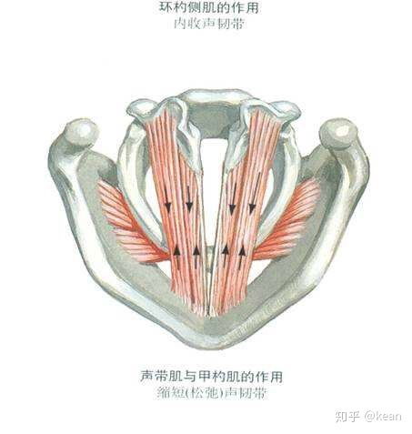 3．敲击部位——底板与鼓面之辩证关系