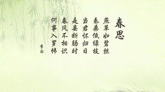 康姓女宝宝使用动物作为名字