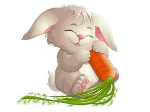 2026年属兔金牛座和属兔天蝎在蛇年的运势以及1月份运势分别如何？