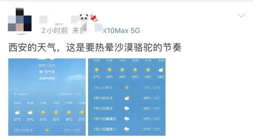2026年黄历预警！这些日子千万别碰风水球