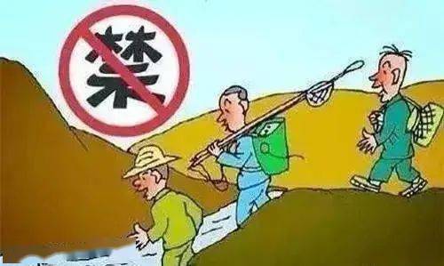 初一出行禁忌与传统习俗