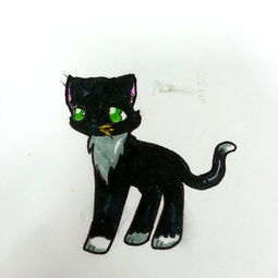=二=传统国学视域中的 “猫眼阴阳”:从实用畜类到灵界中介 的符号嬗变