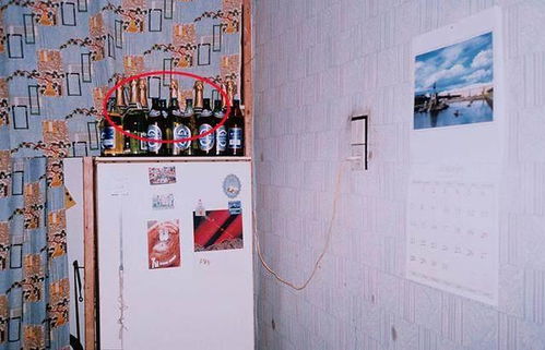 前言：家居风水与财运之关联性学术综述