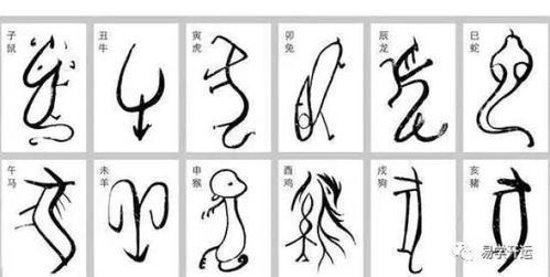 为什么八字中三甲连珠被认为是天上贵人的象征？
