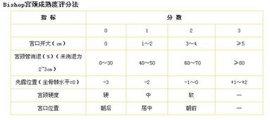 小女孩起乳名测试打分标准是什么？