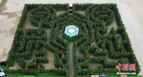 植物配置及景观营造的风水考量