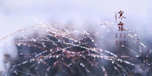 一、 研究背景与意义