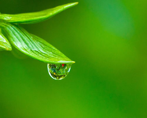 纯色壁纸：护眼之余兼顾五行平衡