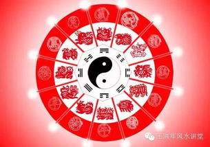 2025年4月21日吉日：属兔者今日运势佳，宜出行求财