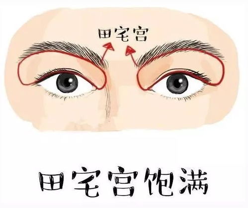 二、  眉眼格局：性格特质与情感深度的微观映射