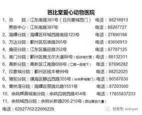 乡土生活中的生命密码：八字的日常嵌入