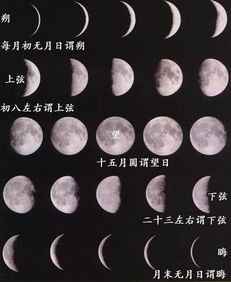 吴刚伐桂的徒劳无功