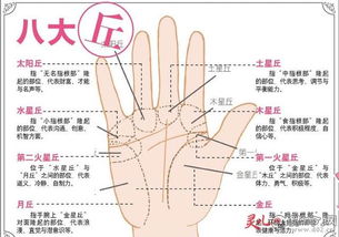 王先生手相特点有哪些？手相算命图册能看吗？