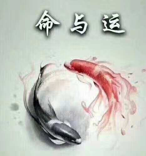董天君案例补充说明