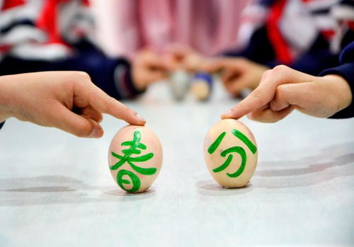 4．象征意义探讨：从天然敬畏到生活美学再造阐释 “立鸡蛋蛋” 的文化底蕴实际价值