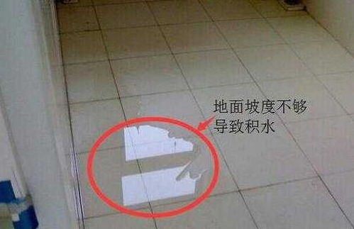 二、  物理补救：从舀水到木炭铺设的实操方案